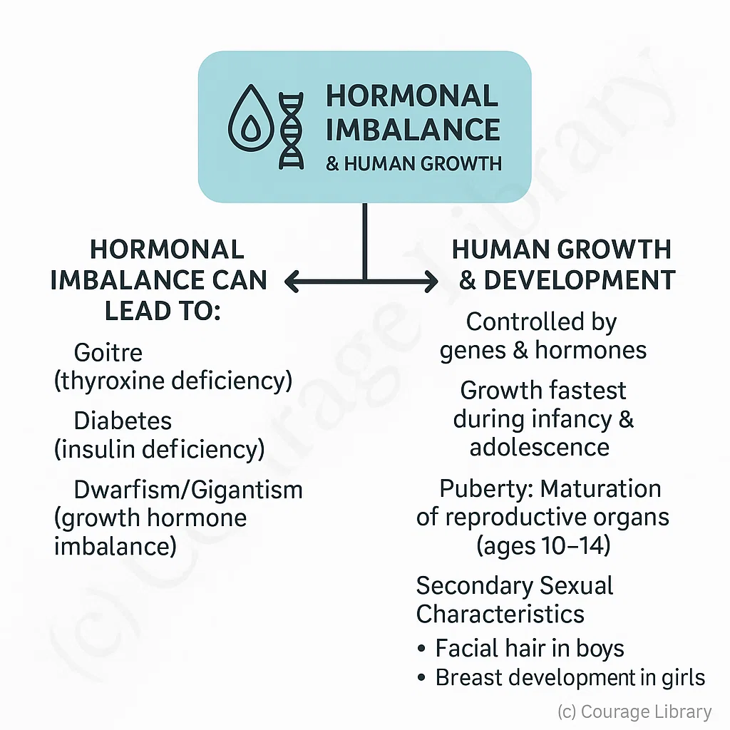 Hormones and Human Growth Development