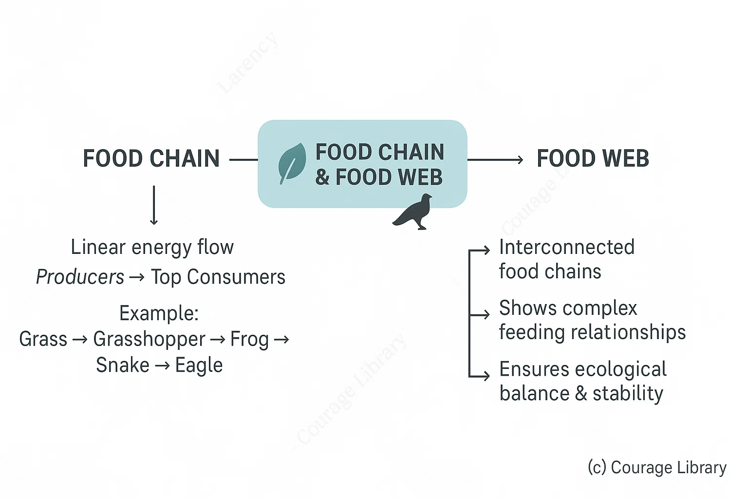 Illustration of ecosystem by flowchart