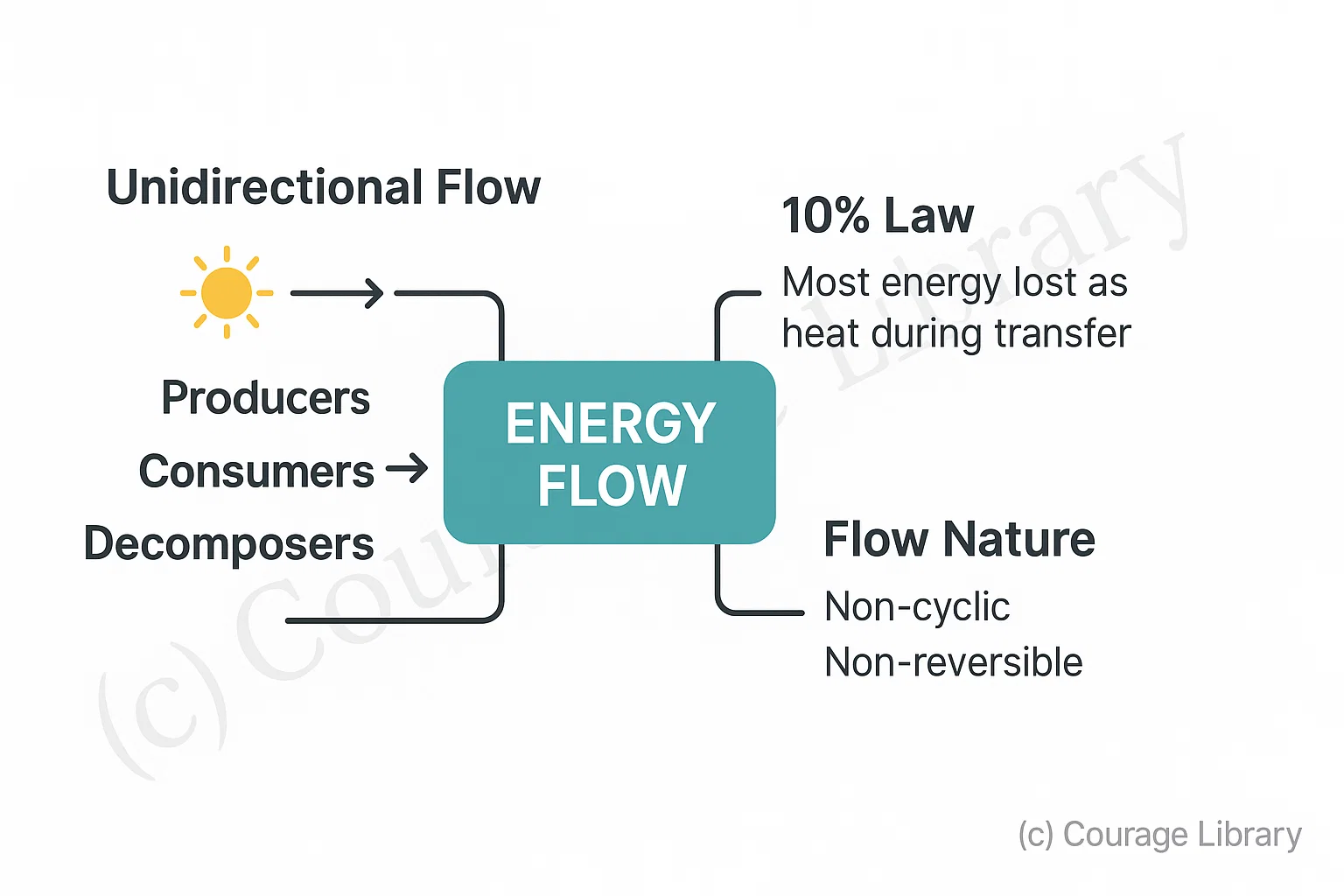 Energy Flow in Ecosystem Diagram