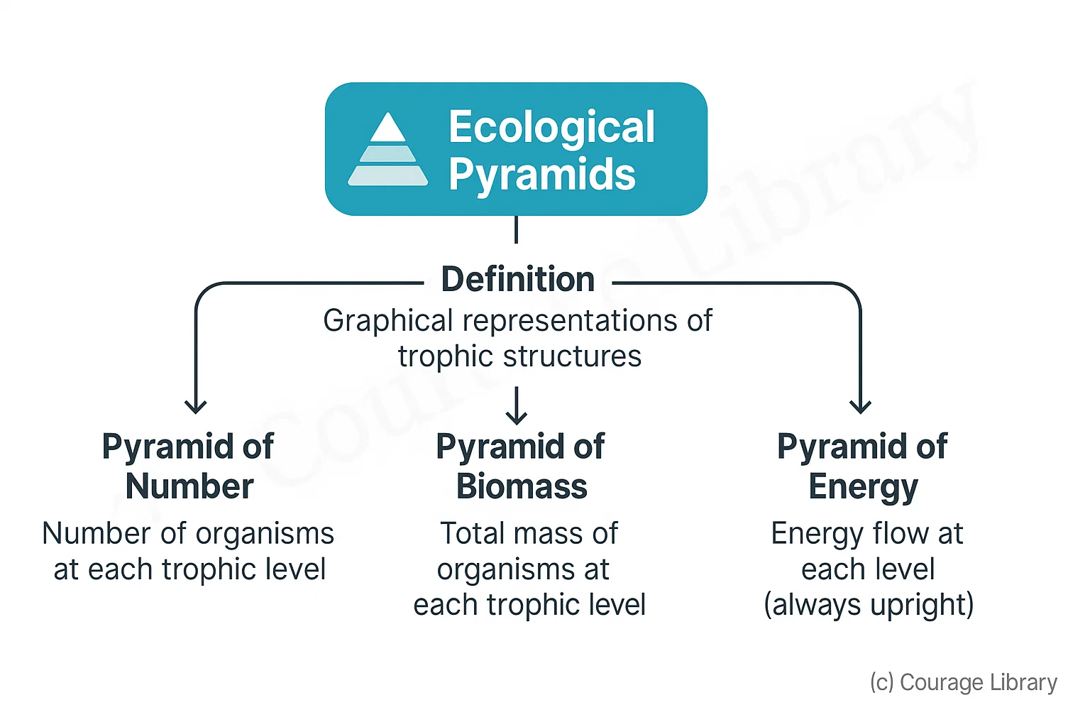Types of Ecological Pyramids