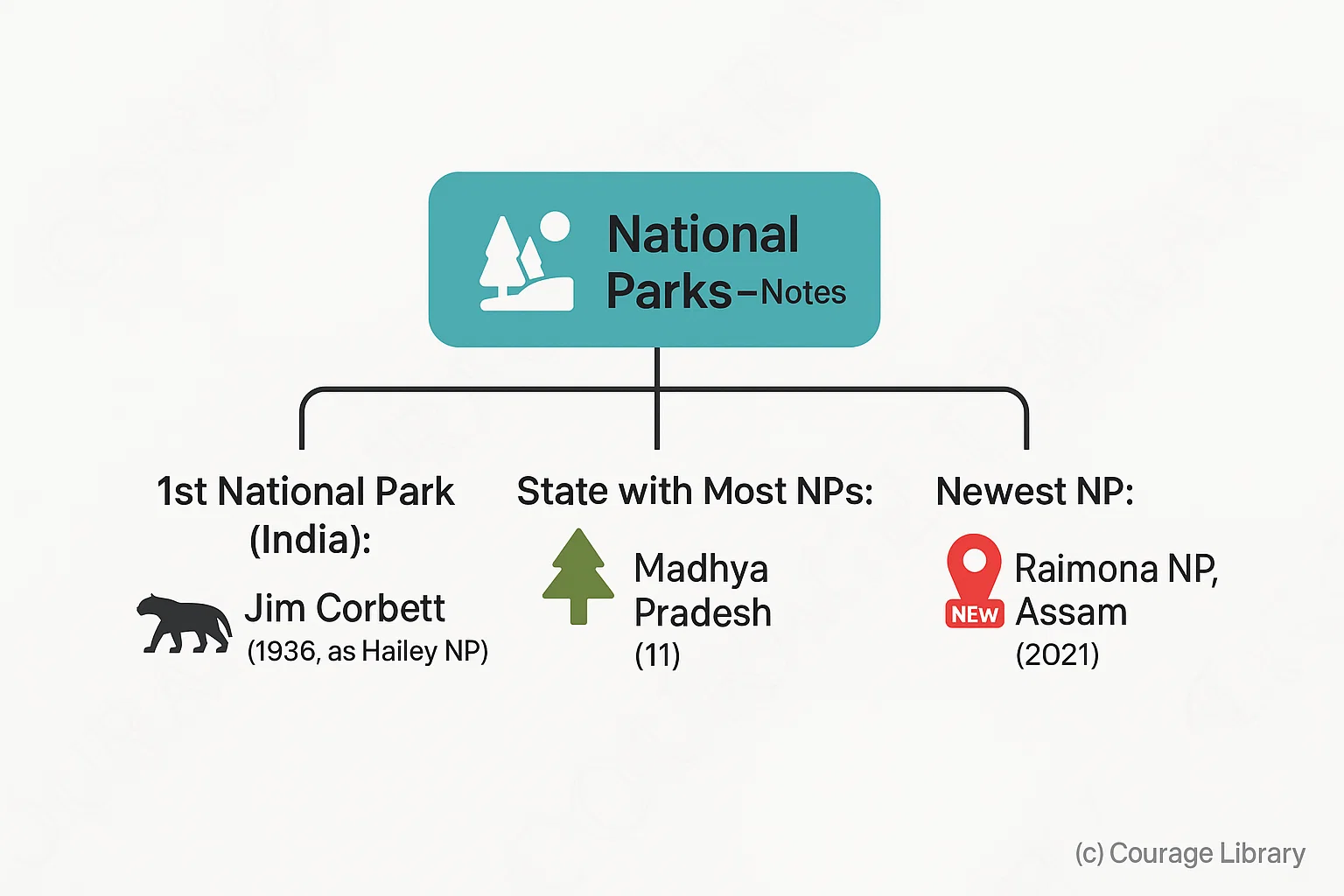 Illustration of the 10 largest national parks