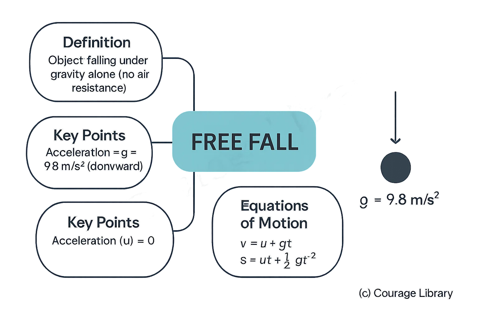  Illustration of Free Fall Motion