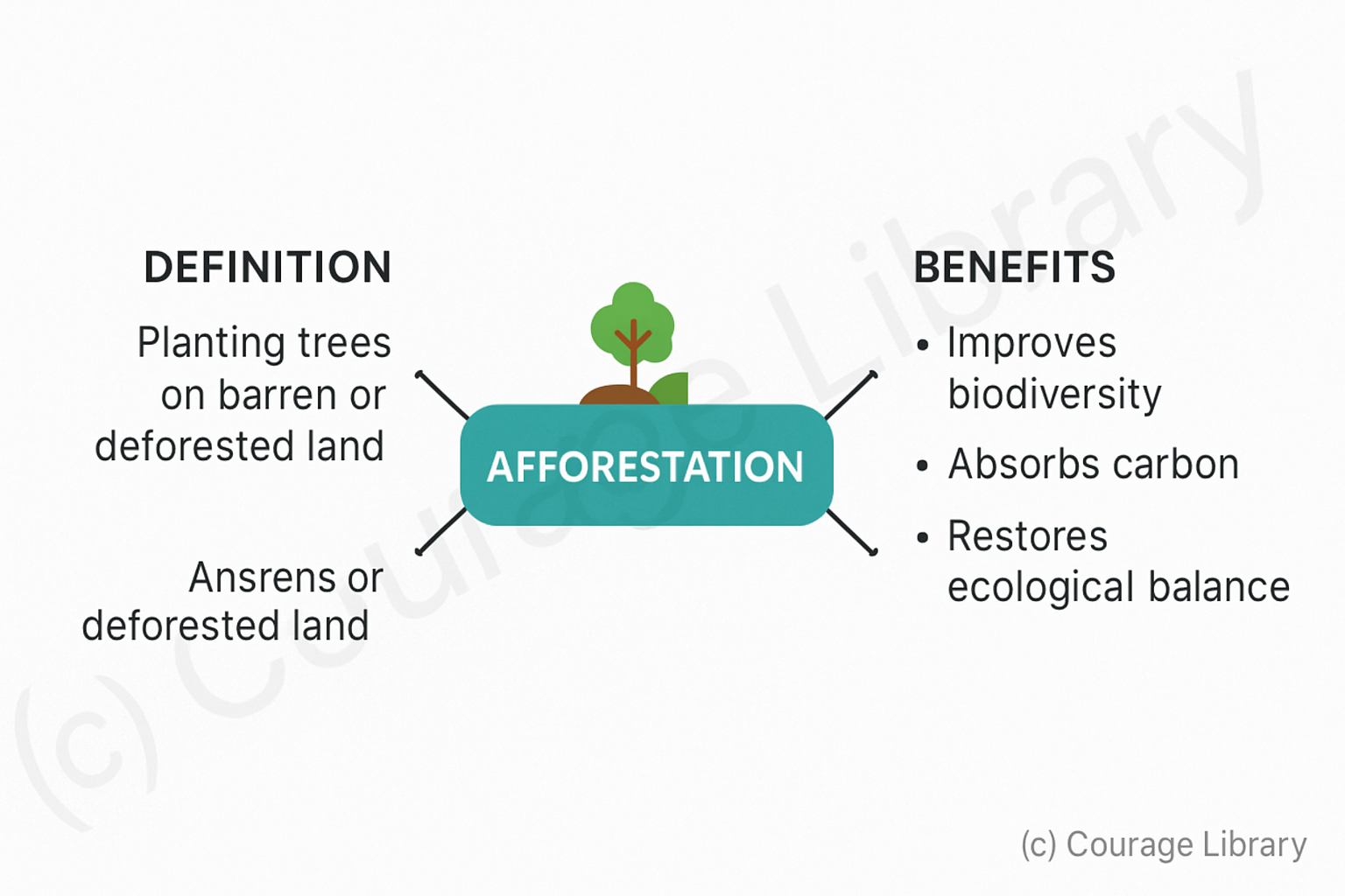 Illustration of Afforestation