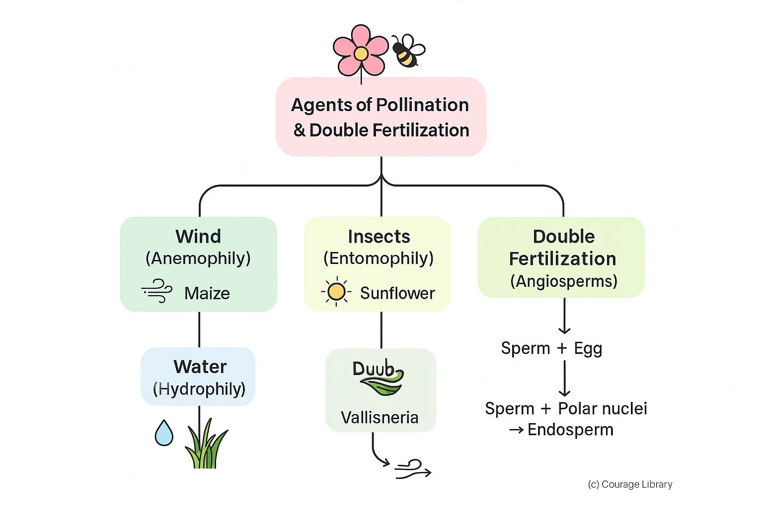 Illustration of Pollination