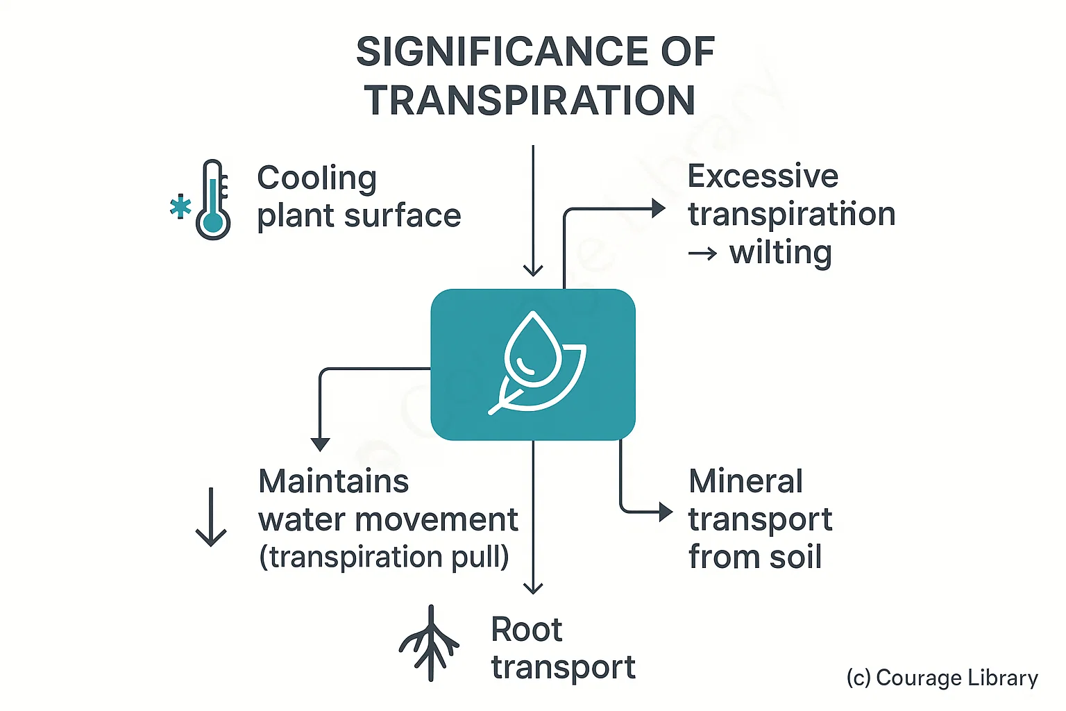 Illustration of Significance of Transpiration